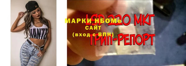 ГАЛЛЮЦИНОГЕННЫЕ ГРИБЫ Остров