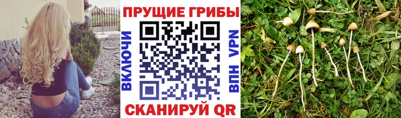Галлюциногенные грибы мухоморы  Арамиль 